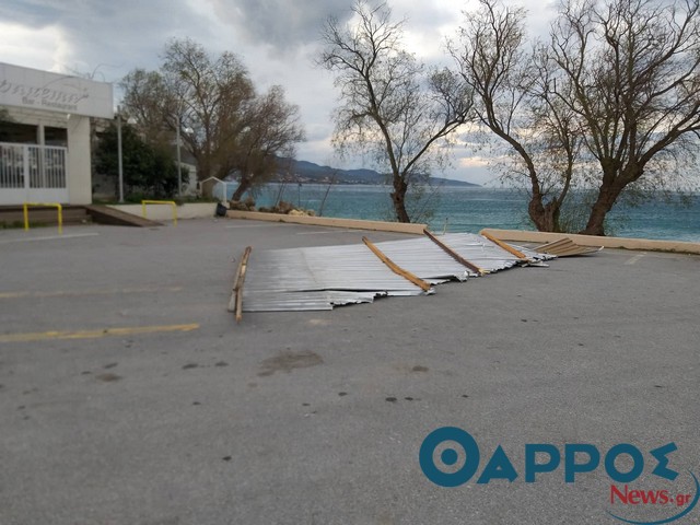 «Πέταξε» στέγη από κατάστημα στην παραλία Καλαμάτας, έπεσε δέντρο στην κεντρική πλατεία