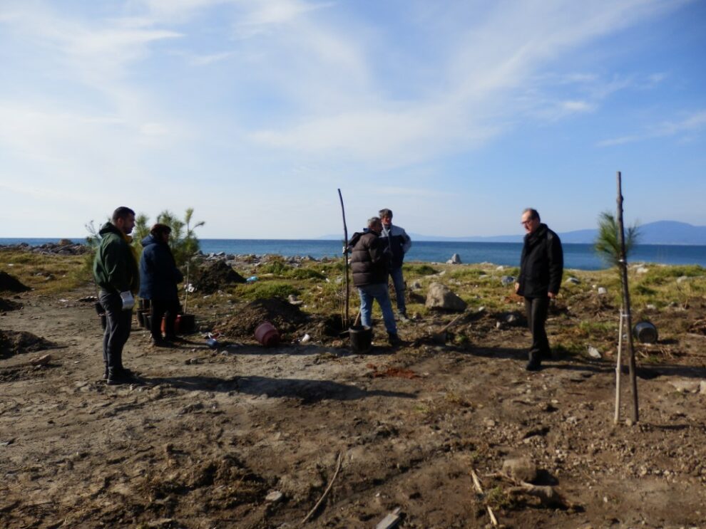 Ενίσχυση του πρασίνου στην Καλαμάτα