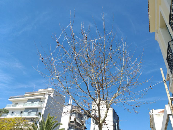 277 μέρες μέχρι τα Χριστούγεννα…