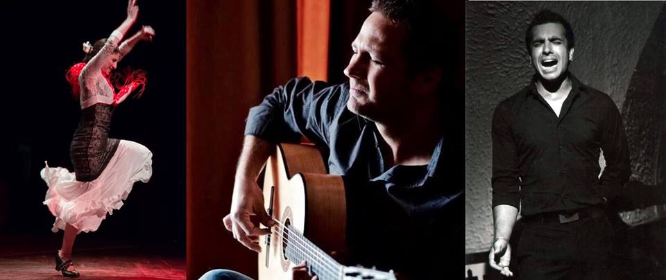 Ολοκληρώνεται το 8ο Φεστιβάλ Κιθάρας