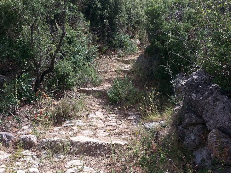 Το ΕΜΠ ενδιαφέρεται για την αναβίωση των καλντεριμιών της Βέργας