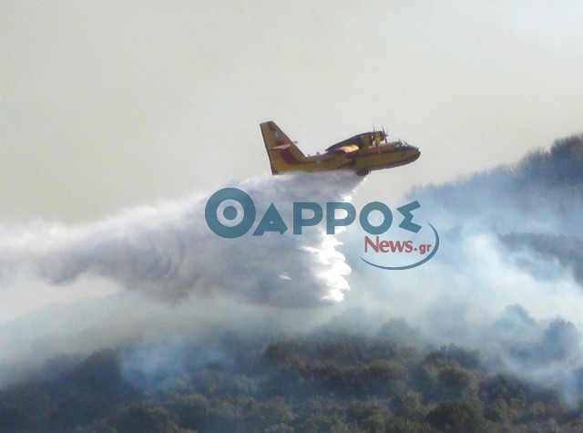 Υπό έλεγχο η φωτιά στη Ροδιά – Ακόμα καίει ψηλά στο όρος Ψυχρό της Κυπαρισσίας