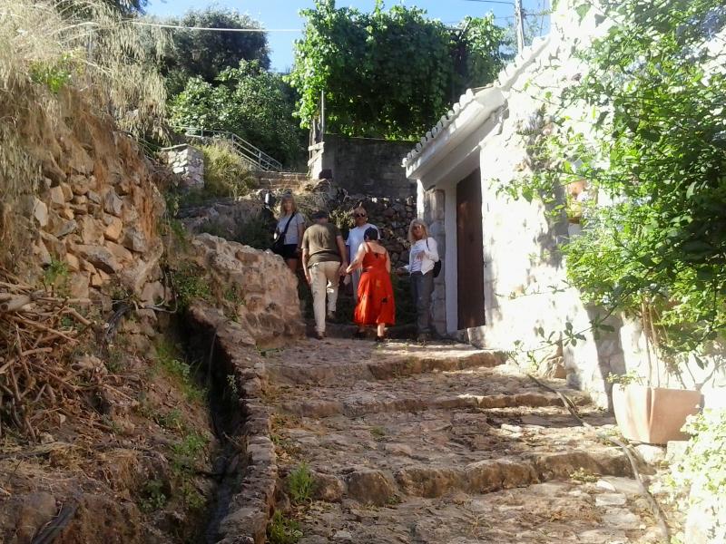 Πεζοπορία την Κυριακή στα παλιά καλντερίμια της Βέργας