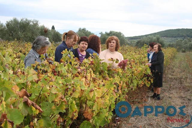 «Ένωση Γυναικών Λεύκης» Ένας σύλλογος… κόντρα στην κρίση (φωτογραφίες)