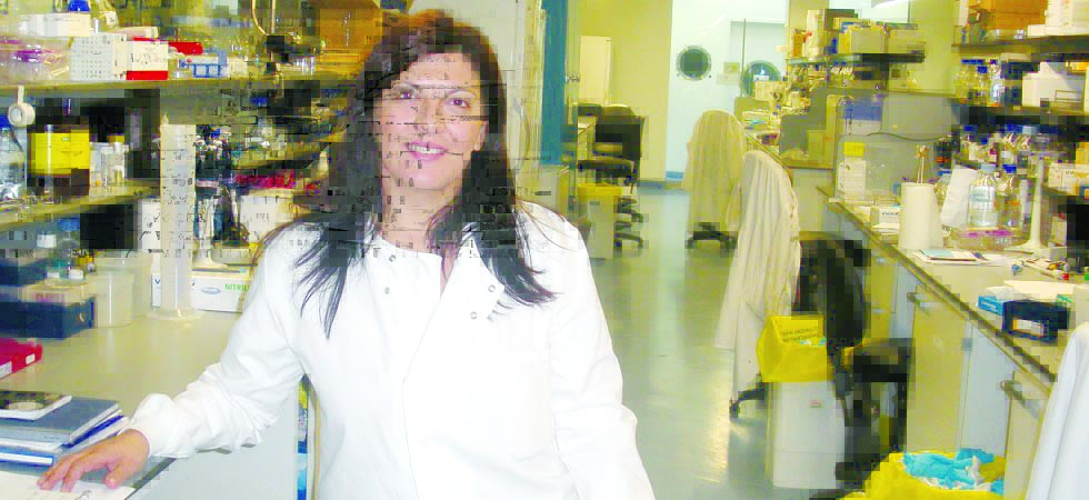 Δρ. Χαρά Νικολακοπούλου: Η Μεσσήνια που υπόσχεται λύση για τον καρκίνο