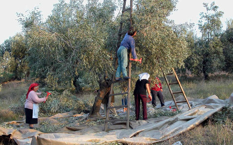 Μετά την…παρέλαση η καταβολή του 50 % στους αγρότες