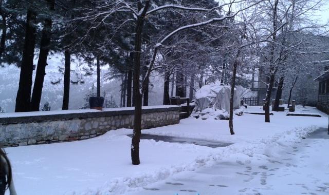 20 πόντοι χιόνι στον Ταΰγετο, με αλυσίδες η διέλευση