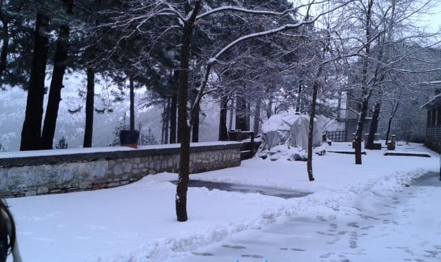 20 πόντοι χιόνι στον Ταΰγετο,  με αλυσίδες η διέλευση