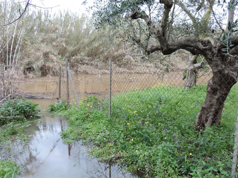 Προβλήματα στις περισσότερες περιοχές του Δήμου Καλαμάτας από τις βροχοπτώσεις