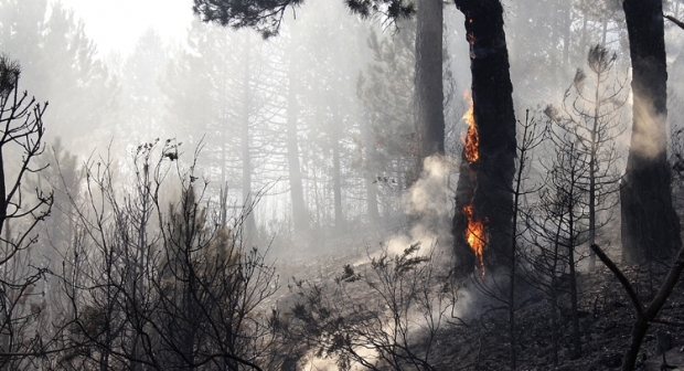 Κάηκαν 10 στρέμματα γεωργικής έκτασης στον Μαχαλά Αλαγονίας