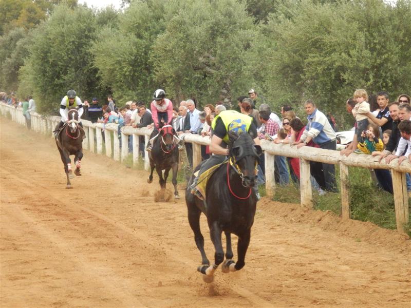 Οι ιπποδρομίες στο Πλατύ  στη μνήμη του Αγίου Γεωργίου