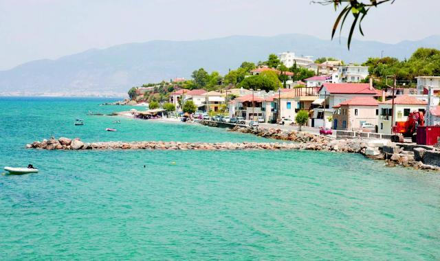 Στις 20 Μαΐου επανδημοπρατούνται τα αντιδιαβρωτικά σε Αβία – Κιτριές