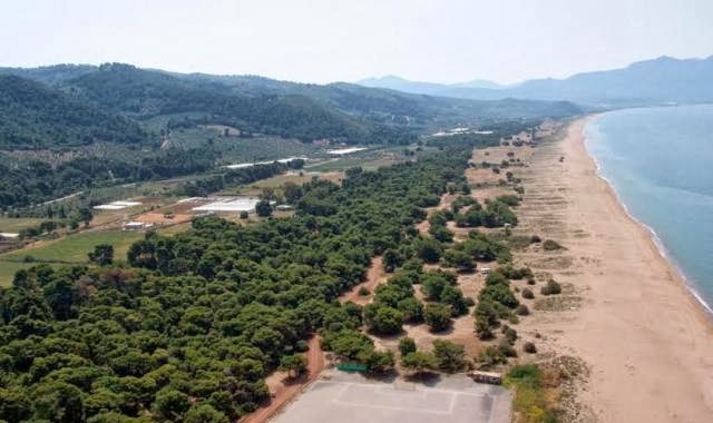 Αναστολή έκδοσης οικοδομικών αδειών και εκτέλεσης δραστηριοτήτων στις “Θίνες Κυπαρισσίας”