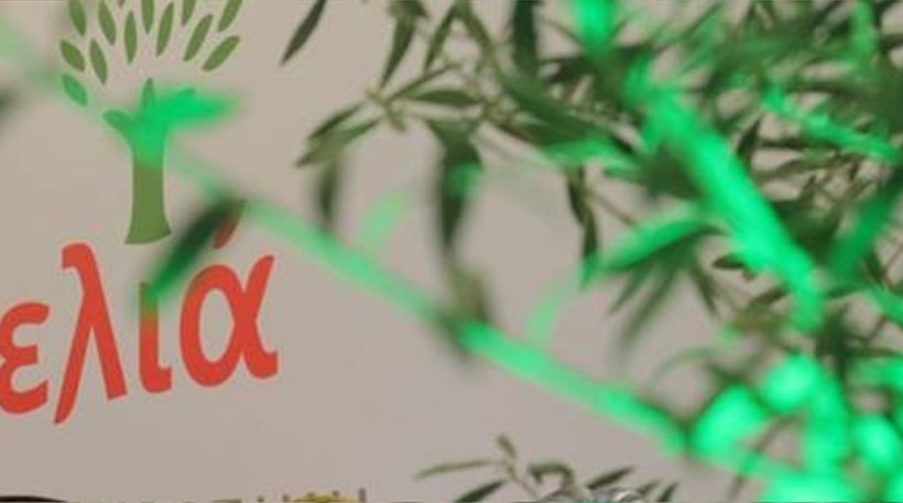 Επίσκεψη & ομιλία υπ. Ευρωβουλευτών της «Ελιάς» στην Καλαμάτα