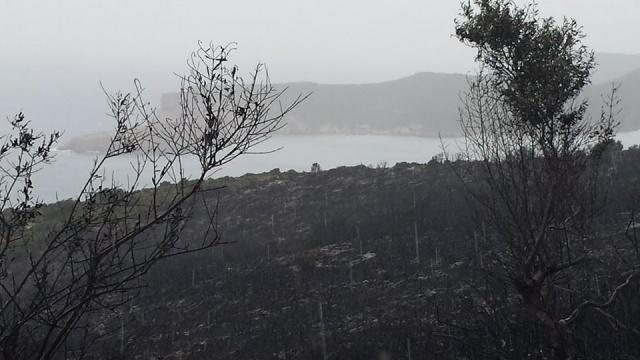 Ο Π. Γιαννόπουλος καλείται να αναλάβει  μήνυση για εμπρησμό στο δεματοποιητή της Πύλου