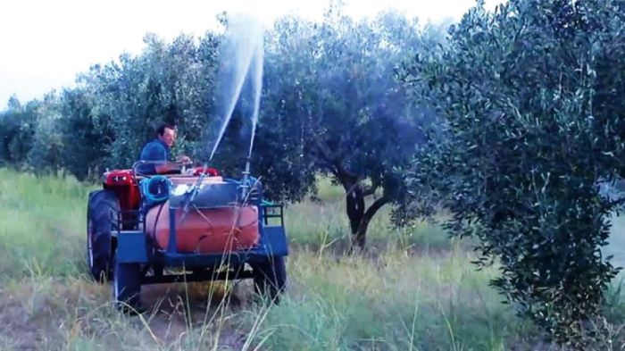 Καθυστερεί η δακοκτονία λόγω των νέων δεδομένων και με οριακές πιστώσεις