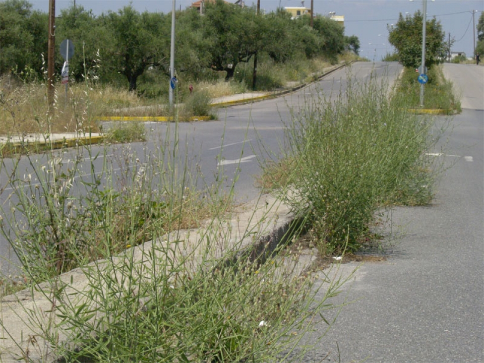 Τέσσερα χρόνια χωρίς φως…