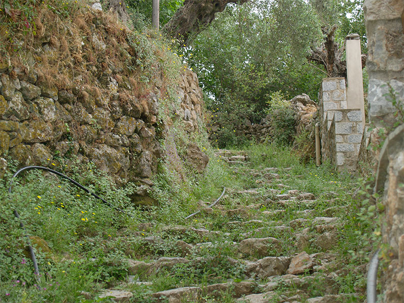 «Χαμένος» ο φυσικός θησαυρός της Βέργας (φωτογραφίες)