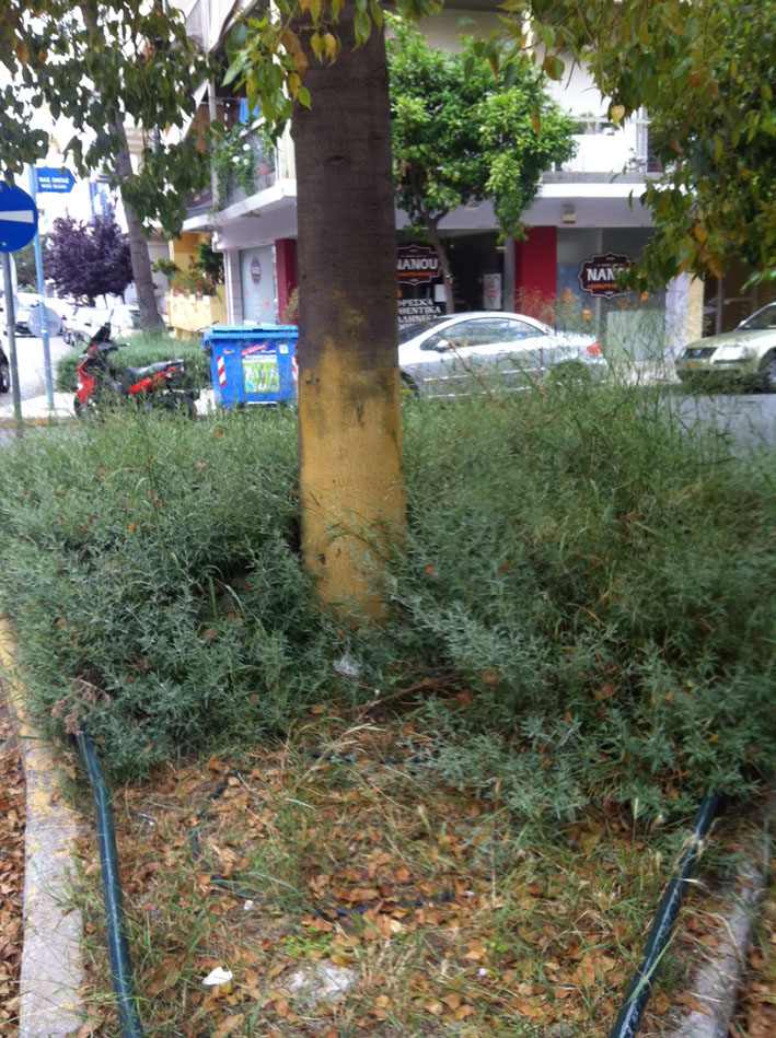 Όχι μακριά από το κέντρο της πόλης