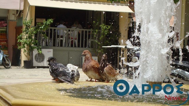 Ο καιρός αύριο στην Καλαμάτα