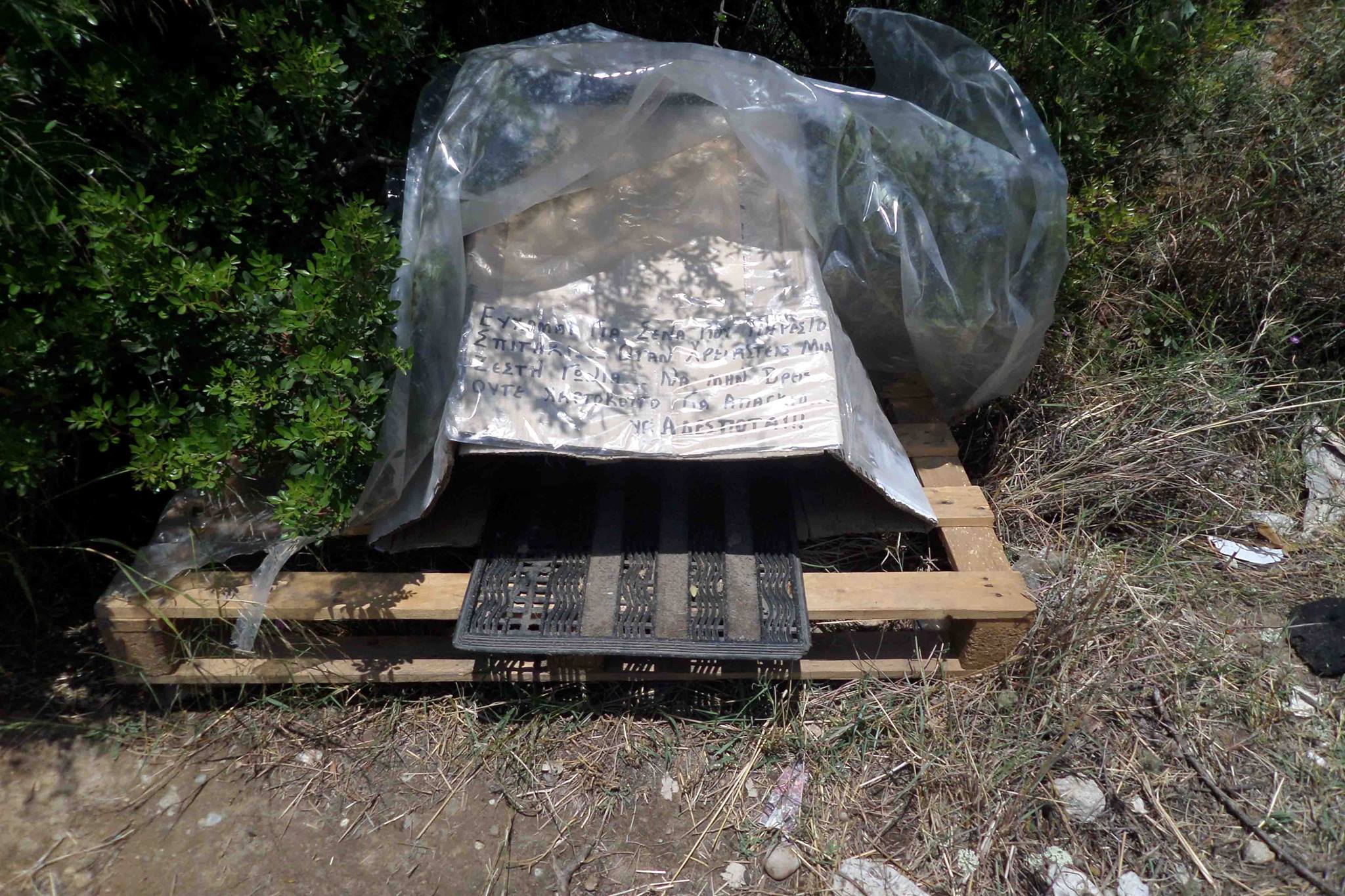 Η… βαρβαρότητα της καθημερινότητας (φωτογραφίες)