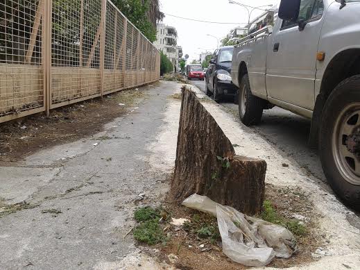 Και άσχημο και επικίνδυνο (φωτογραφίες)