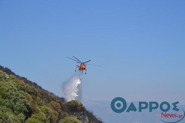 Τα καυτά προβλήματα της Πυροπροστασίας