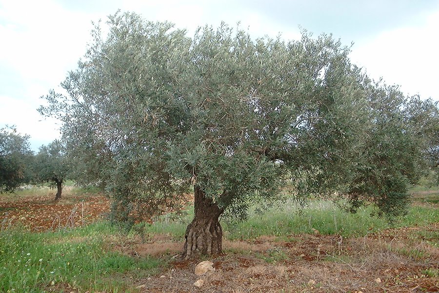 Μέσα σε όλα και οι ενεργοποιήσεις των αγροτών