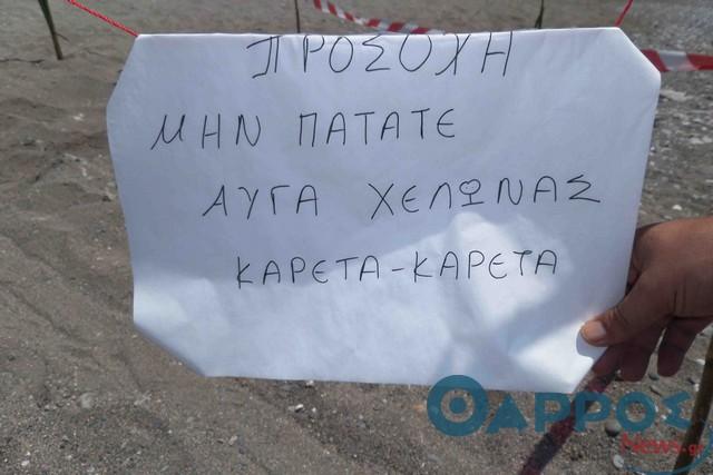 Πρόστιμο για ομπρέλες και ξαπλώστρες σε εν δυνάμει χώρο φωλιών θαλάσσιων χελωνών