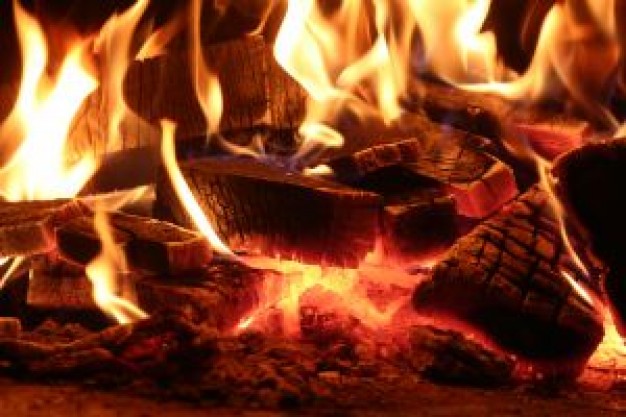 Πλειοδοτική δημοπρασία για κατασχεμένα καυσόξυλα
