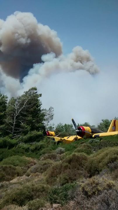 Αναγκαστική προσγείωση καναντέρ στο Φαρακλό (φωτογραφία)