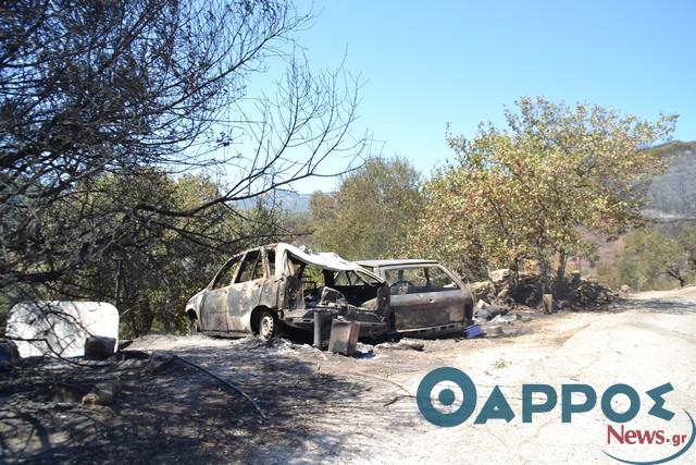 Ο καιρός στην Καλαμάτα για το Σάββατο, μεγάλη προσοχή στις φωτιές!!!