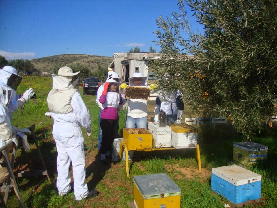 Σεμινάρια Μελισσοκομίας σε Καλαμάτα, Κυπαρισσία και Αρκαδία