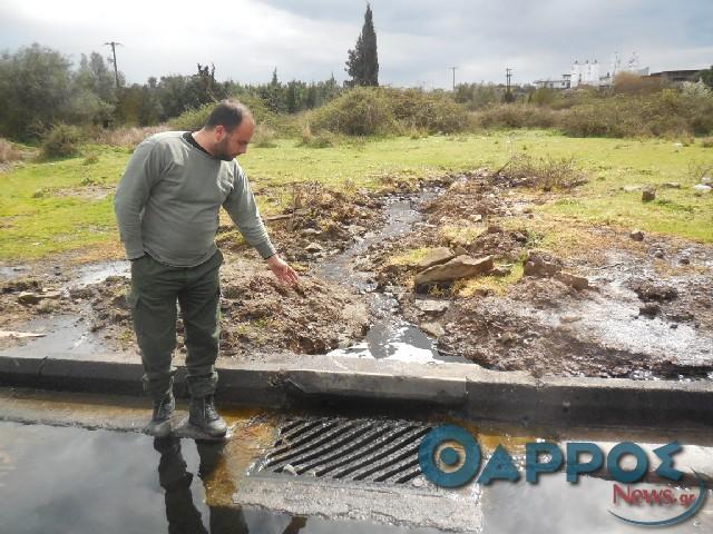 Σχέδιο αντιμετώπισης όχλησης και ρύπανσης από ελαιοτριβεία και πυρηνελαιουργεία