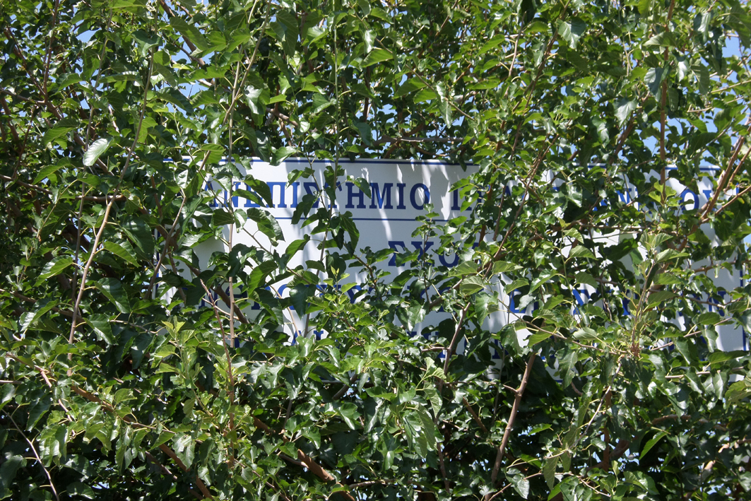 Εξαφανίστηκαν οι ενημερωτικές ταμπέλες…  (φωτογραφίες)