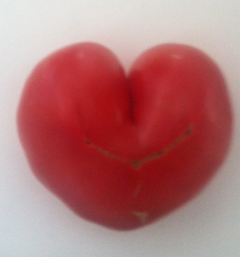 Τα θαυμαστά έργα της φύσης