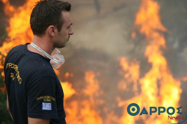 Φωτιά σε εξέλιξη στα σύνορα Μεσσηνίας – Ηλείας