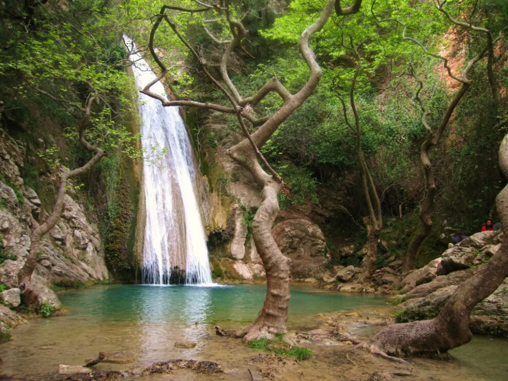 Καθαρισμός της κοίτης του ποταμού Νέδα, μετά από 30 χρόνια!