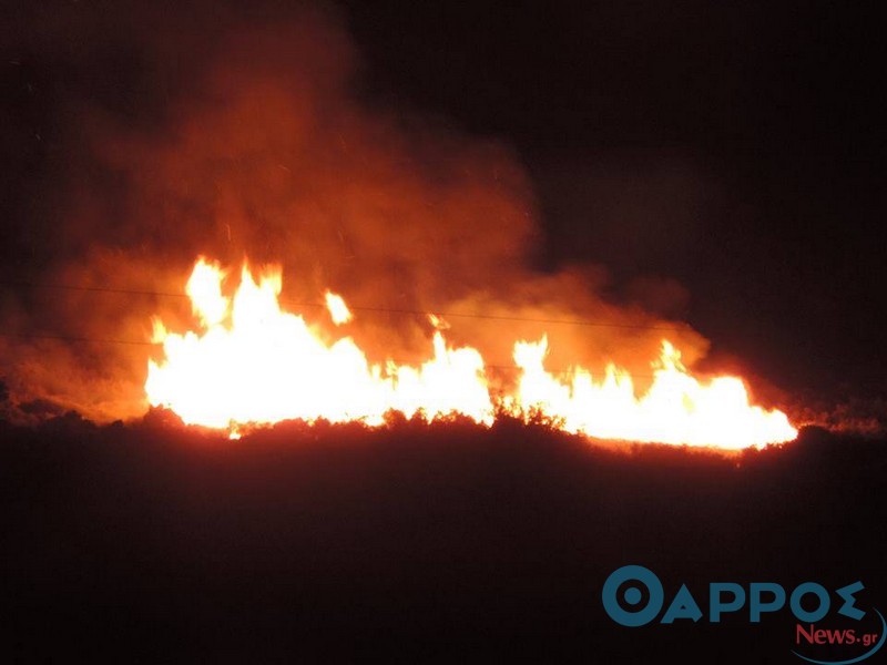Φωτιά στο όρος Γεράνιο της Κυπαρισσίας (φωτογραφίες)