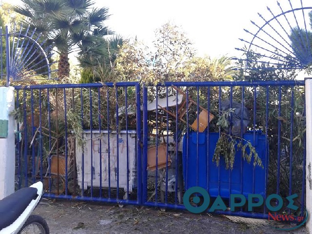 Κατάληψη «με το καλημέρα» στο 6ο Λύκειο Καλαμάτας, έκλεισε και άλλο σχολείο σήμερα (φωτογραφίες)