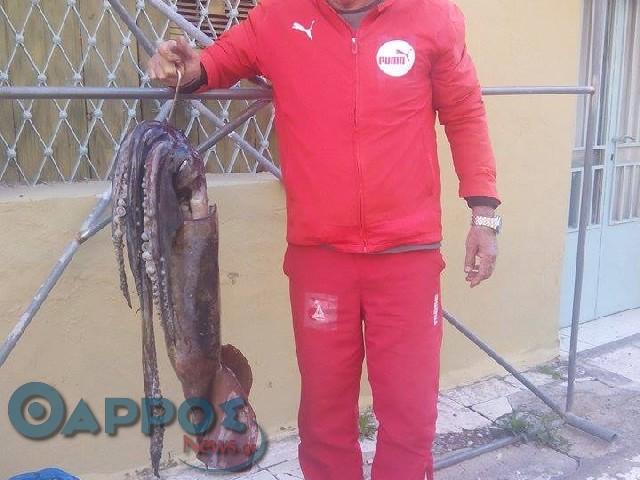 Φυσιολογική εξέλιξη το ενυδρείο στην Καλαμάτα…