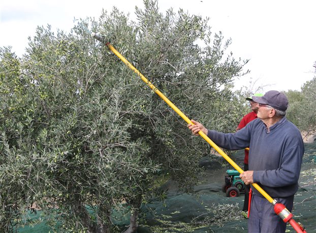 Αποστόλου: Πώς θα αμβλυνθούν τα δύσκολα  μέτρα για τους αγρότες