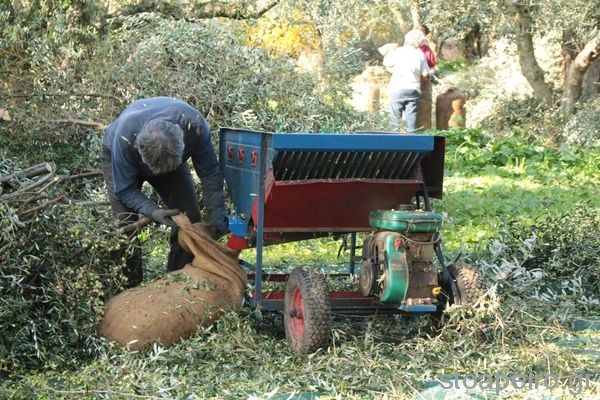 ΣΥΡΙΖΑ Μεσσηνίας: Οι ιδεοληψίες της Ν.Δ. στερούν εργάτες γης από τον αγροτικό τομέα