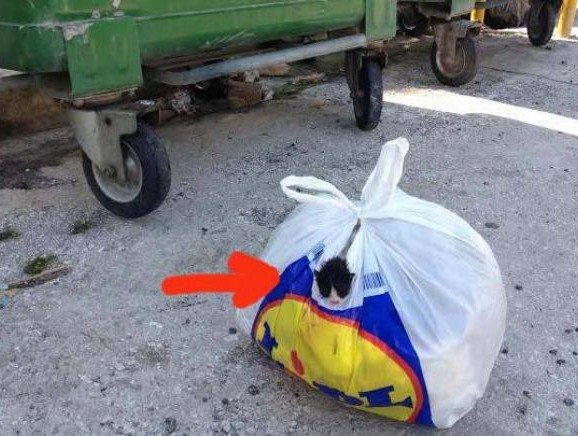 Χάνουν την ανθρωπιά τους…