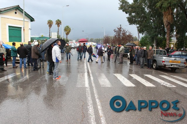 Στήριξη και συμπαράσταση στους μελισσοκόμους από τον Αγροκτηνοτροφικό Σύλλογο Μεσσήνης