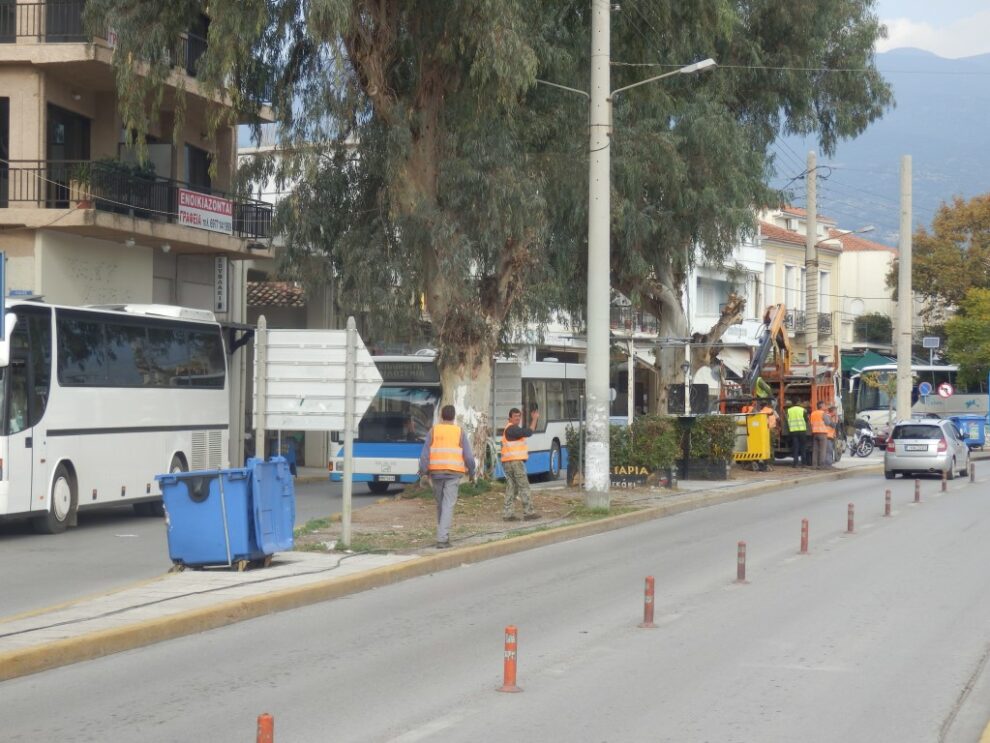 Κυκλοφοριακές ρυθμίσεις στην Αρτέμιδος λόγω κοπής ευκαλύπτων