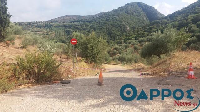 Θάνατος στο Πολυλίμνιο: «Αθώος  ο διευθυντής Δασών, ένοχος ο δασάρχης»