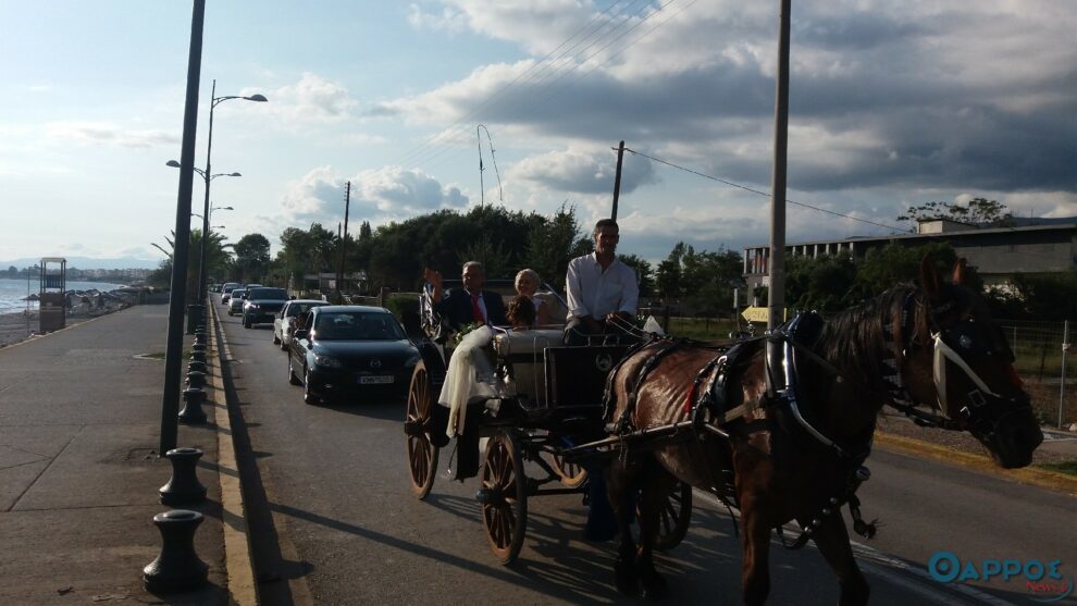 Μια ευχάριστη εικόνα στην παραλία της Καλαμάτας (φωτογραφίες και βίντεο)