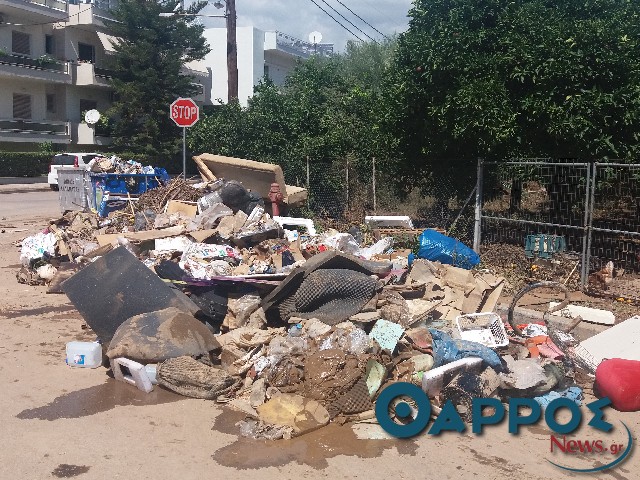 Όταν οι κάδοι μιλούν και λένε την αλήθεια…