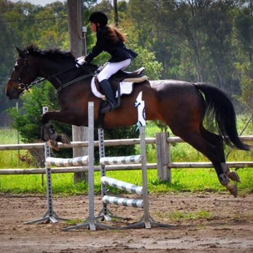 Βαλκανιονίκης κι άλλες διεθνείς διακρίσεις με τη Μελίνα Πεϊμανίδη για τον Ιππικό Καλαμάτας